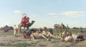 Nômades no Deserto, 1861